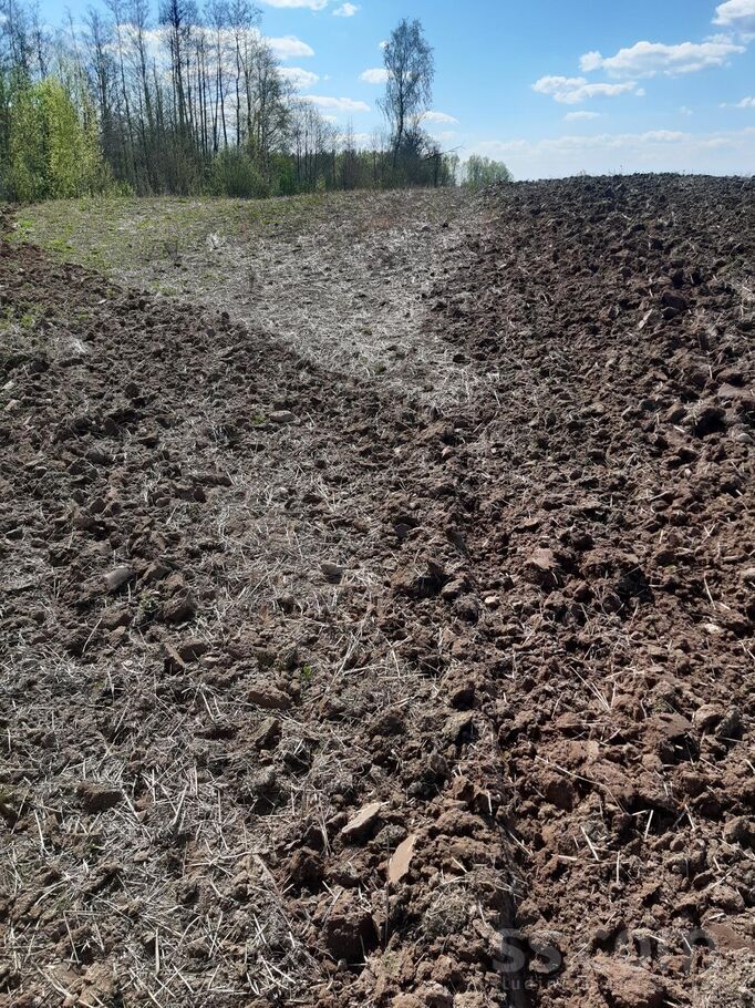 Ozoļi-1, Ozoļi-2, Červonka, Daugavpils un raj., Vecsalienas pag. — zeme