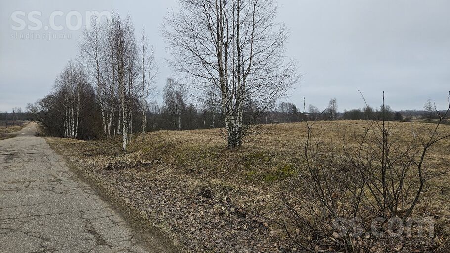 Rāznas iela 12, Lūznava, Rēzekne un raj., Lūznavas pag. — zeme