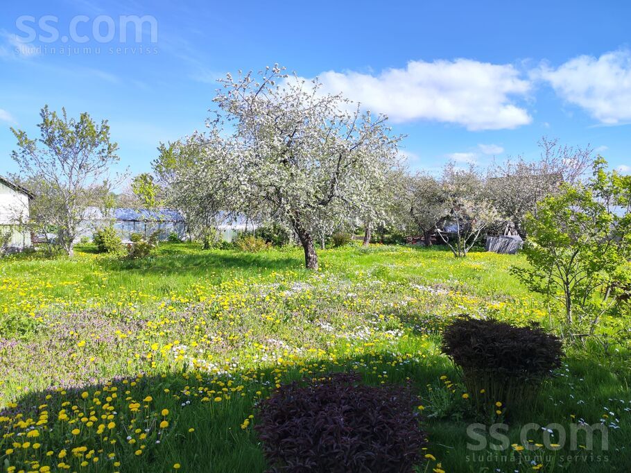 Ezermāla 2 250, Balvi un raj., Balvi — maja