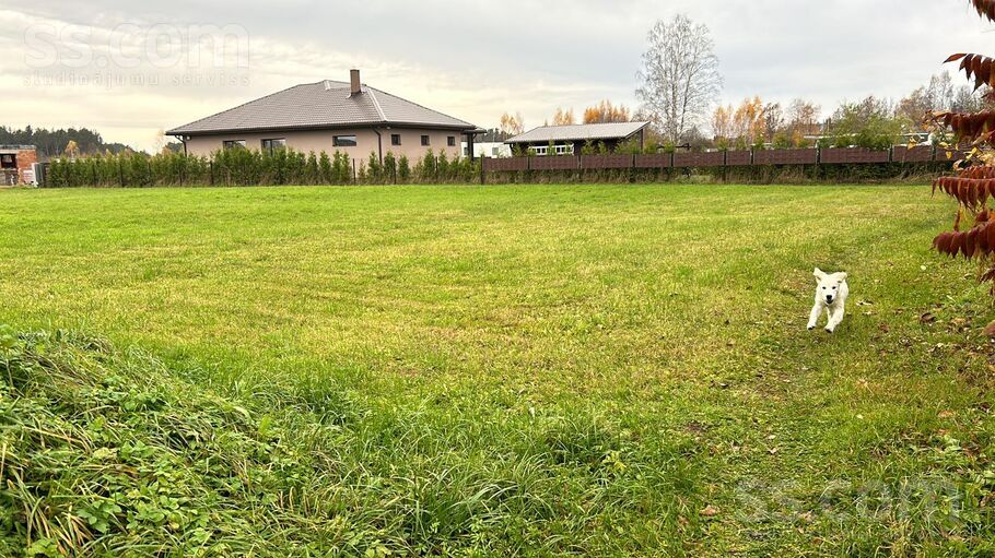 Rudzu iela 3, Carnikava, Rīgas rajons, Carnikavas nov. — zeme