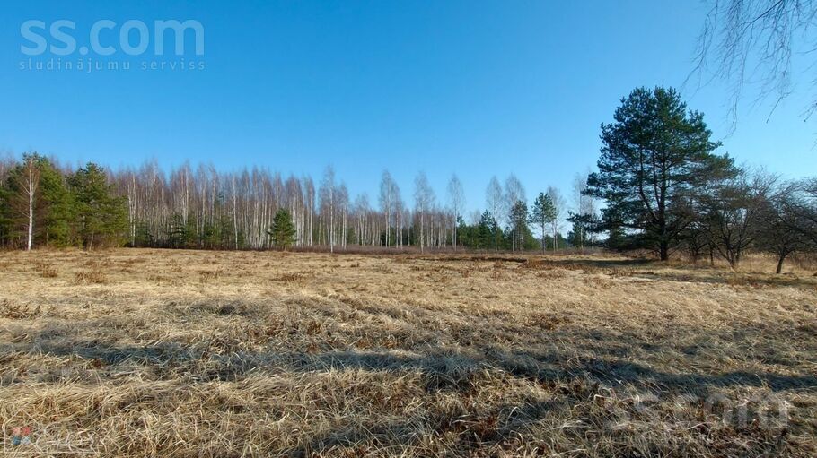 Pieneņu ceļš 17, Ogre un raj., Ogre — zeme