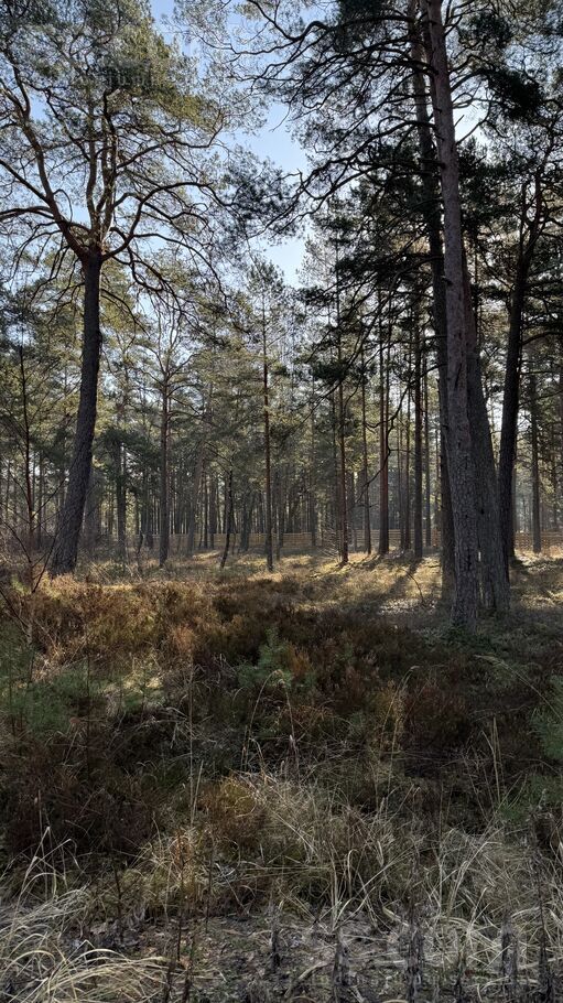 Vecāķu pr. 32c, Rīga — zeme