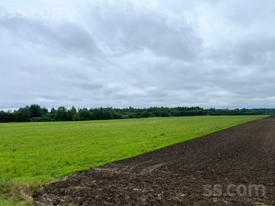 Pakalniņi, Renda, Kuldīga un raj., Rendas pag. — zeme