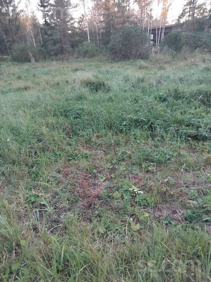 Virši 181, Virši, Rīgas rajons, Olaines pag. — zeme