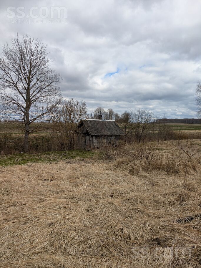Ievinas 1, Markitanti, Daugavpils un raj., Maļinovas pag. — zeme