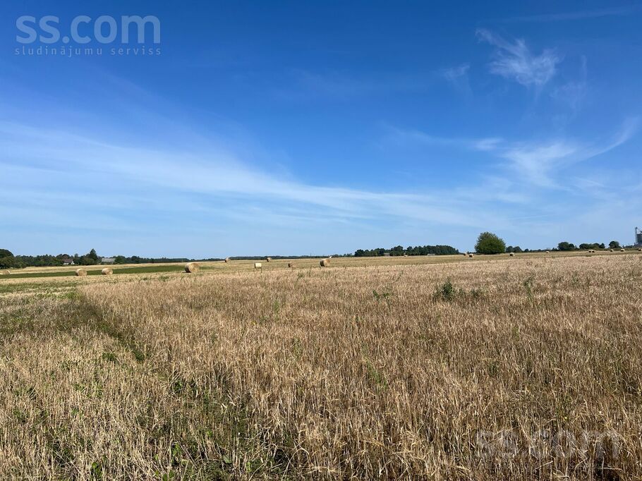 Avotiņi, Jaunlutriņi, Saldus un raj., Jaunlutriņu pag. — zeme