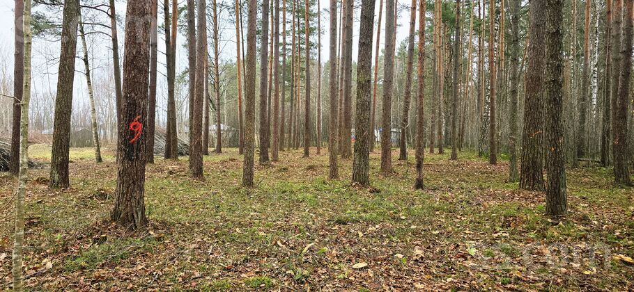 Beberbeķu, Rīga — zeme