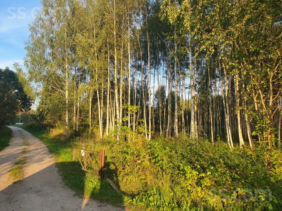 Jaunkraujas 1, Alejas, Rīgas rajons, Ķekavas pag. — zeme
