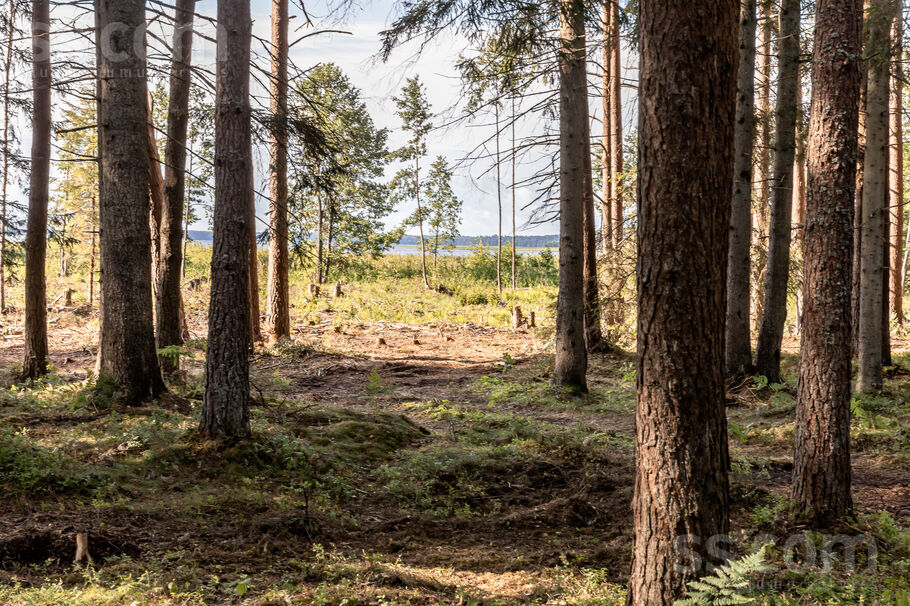 “Buras”, Ventspils un raj., Usmas pag. — zeme