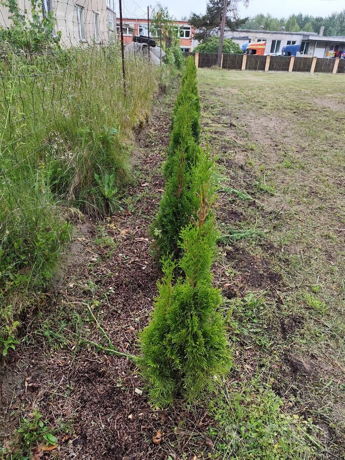 Ranķi, Lapmežciems, Tukums un raj. — zeme