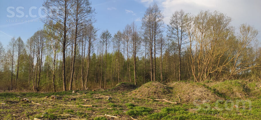 Mūkupurva 12, Rīga — zeme