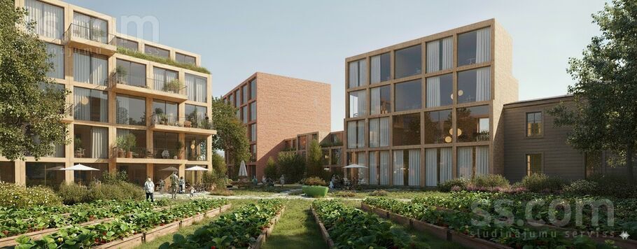 Meža 6, Rīga — zeme