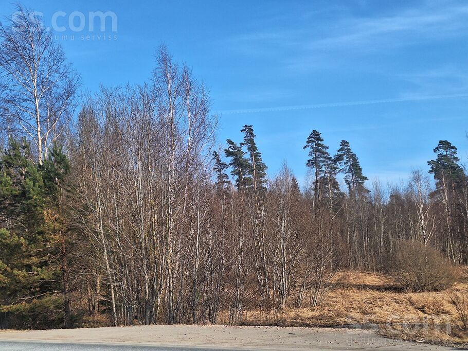 Bez nosaukuma, Eikaži, Rīgas rajons, Krimuldas pag. — zeme