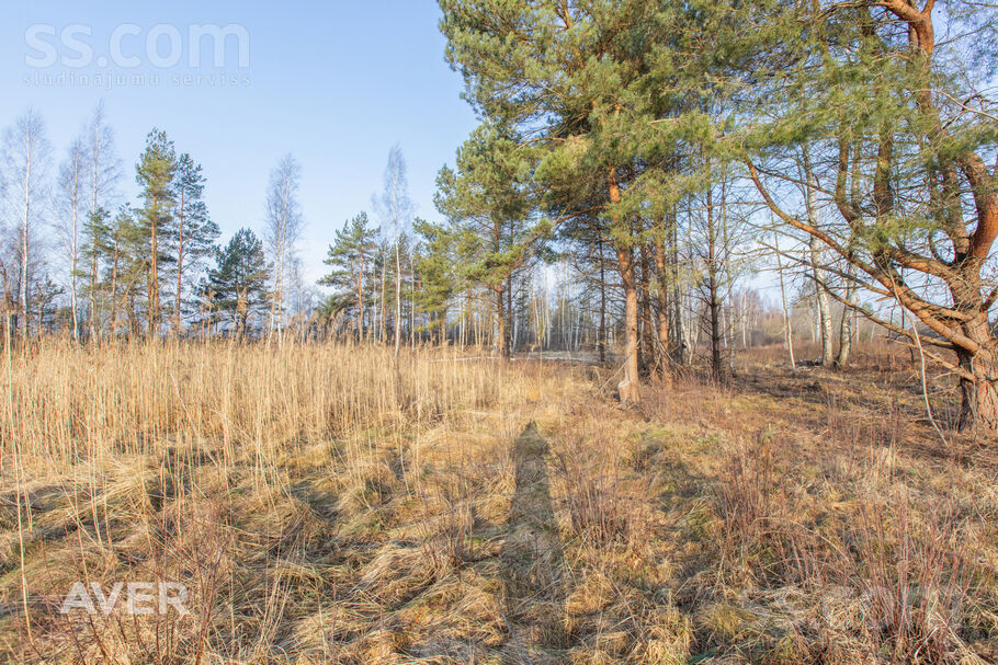 Mīļkalniņi 1, Ragaciems, Tukums un raj. — zeme