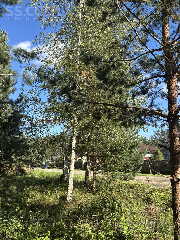 Vālodzes iela 18, Upesciems, Rīgas rajons, Garkalnes nov. — zeme