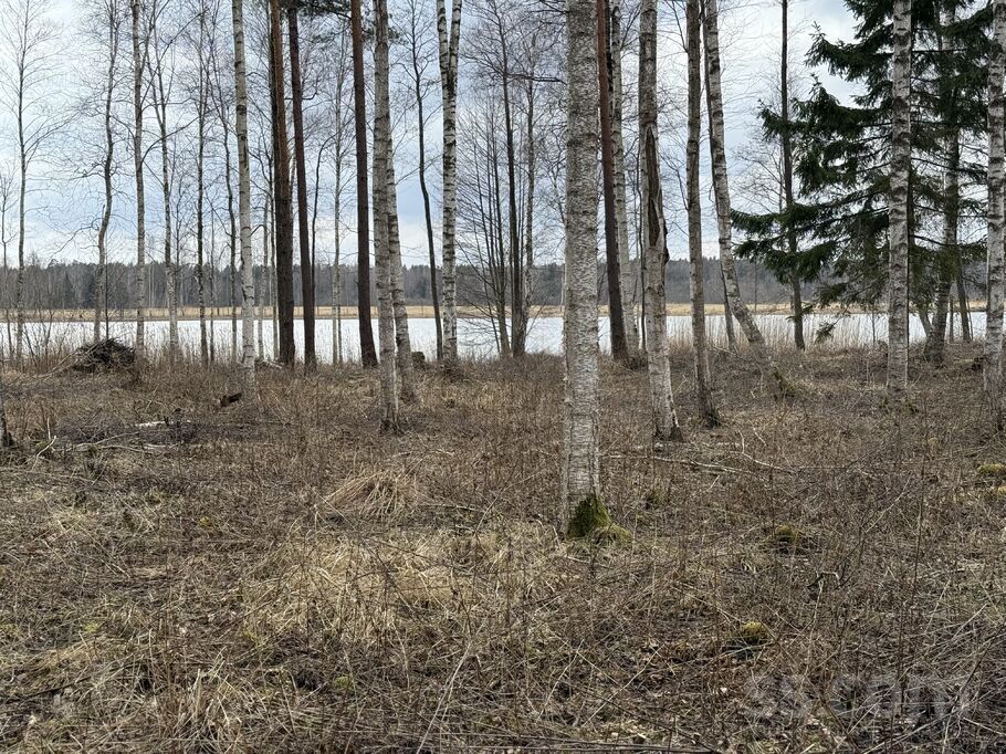 Cerību Līcis, Talsi un raj., Valdemārpils l. t. — zeme