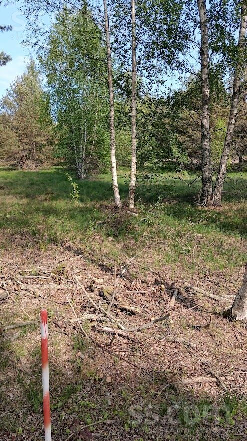 Lōrm nītõd, Sīkrags, Talsi un raj., Kolkas pag. — zeme