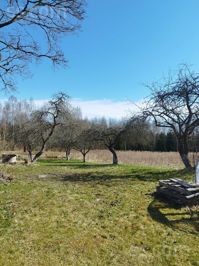 Zači, Ludza un raj., Isnaudas pag. — vienseta