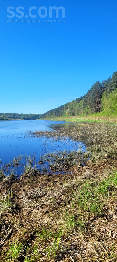 Samu līcis, Sandariški, Daugavpils un raj., Naujenes pag. — zeme