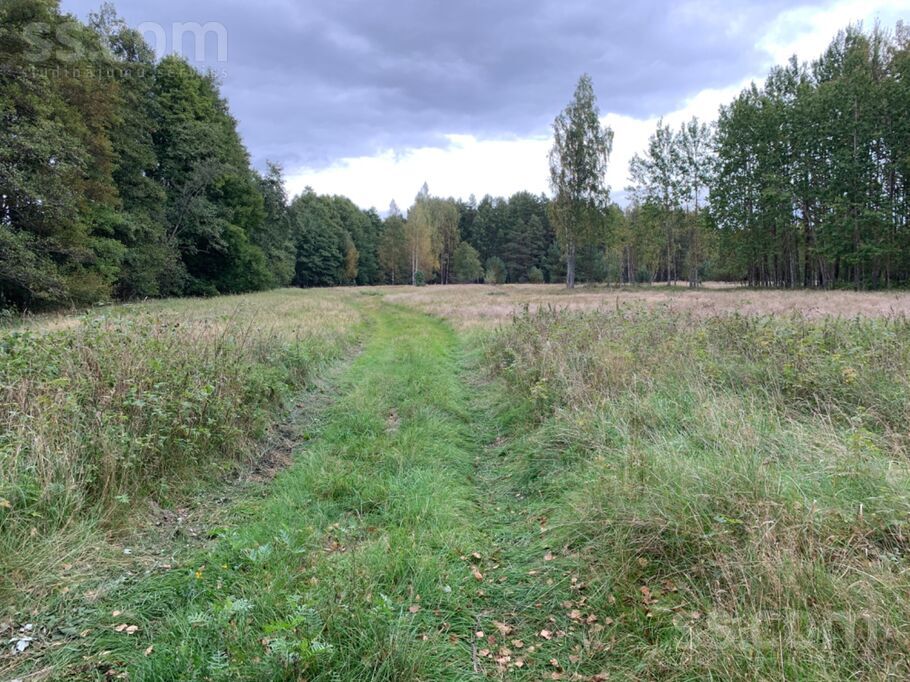 Buciņi, Lielirbe, Ventspils un raj., Tārgales pag. — zeme