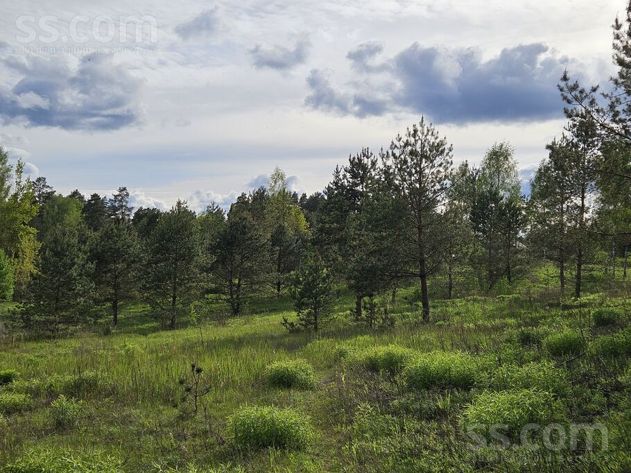 Pieneņu ceļš 19, Ogre un raj., Ogre — zeme