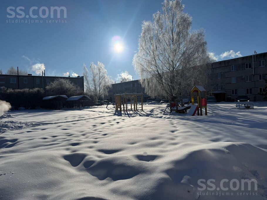 Milleru ceļš 2, Zaļenieki, Jelgava un raj., Zaļenieku pag. — dzivoklis