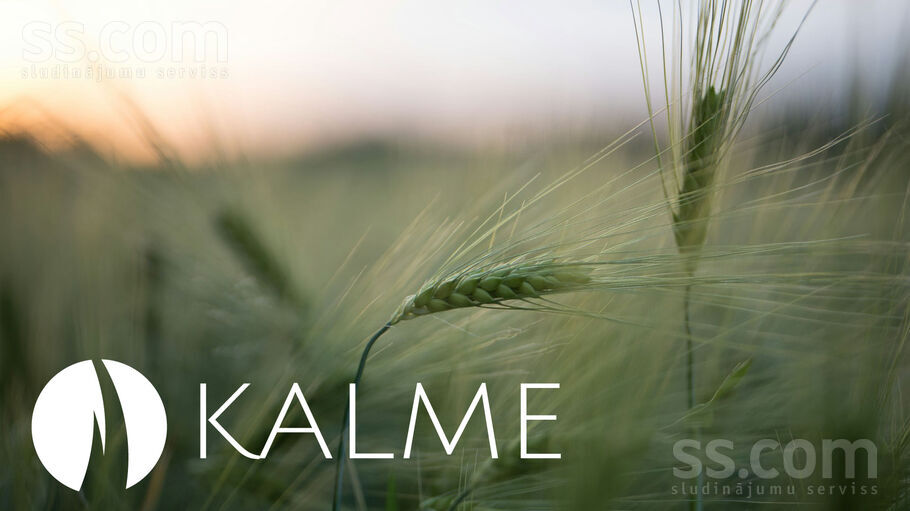 Vizlas, Vārpas, Rīgas rajons, Baldones l. t. — zeme