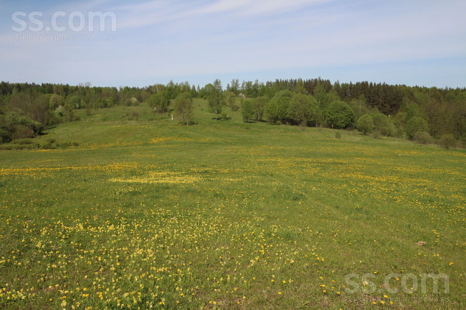 Kāši-Ventas, Daugavpils un raj., Medumu pag. — zeme
