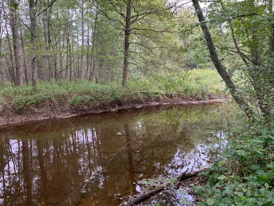 Buciņi, Lielirbe, Ventspils un raj., Tārgales pag. — zeme