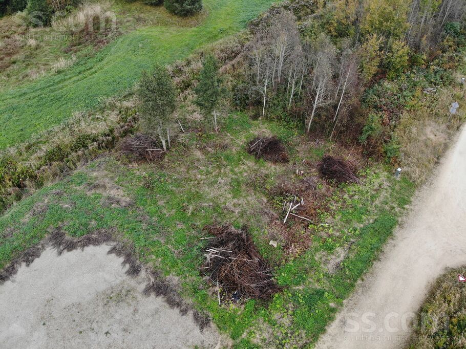 Dzilnu iela 28, Rīgas rajons, Salaspils — zeme