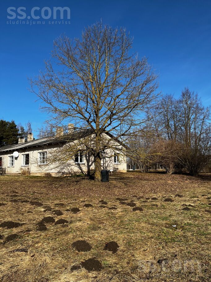 Blāzmas 2.3, Blāzma, Tukums un raj., Lestenes pag. — maja