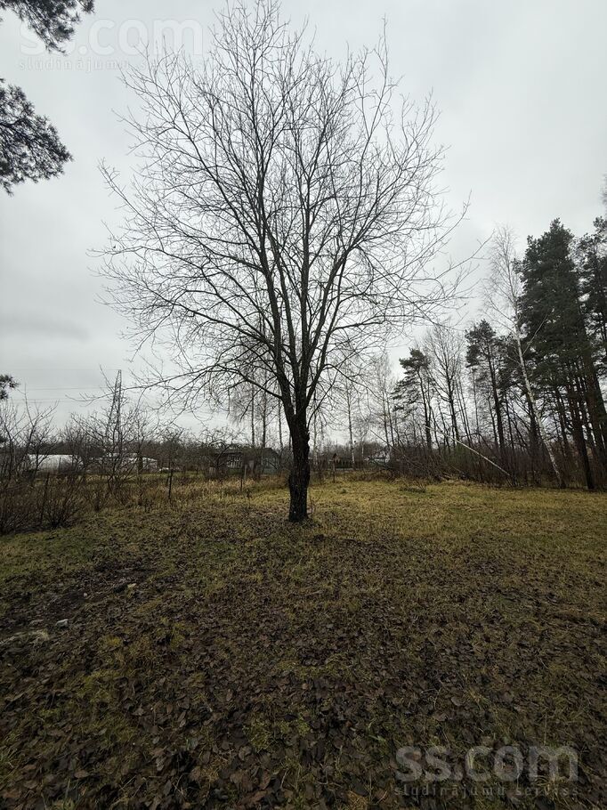 Slocene, Jūrmala — zeme