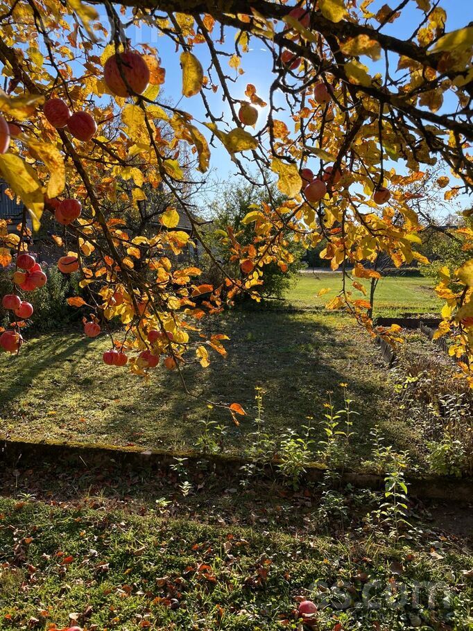 Ausekļa 21a, Valmiera un raj., Valmiera — zeme