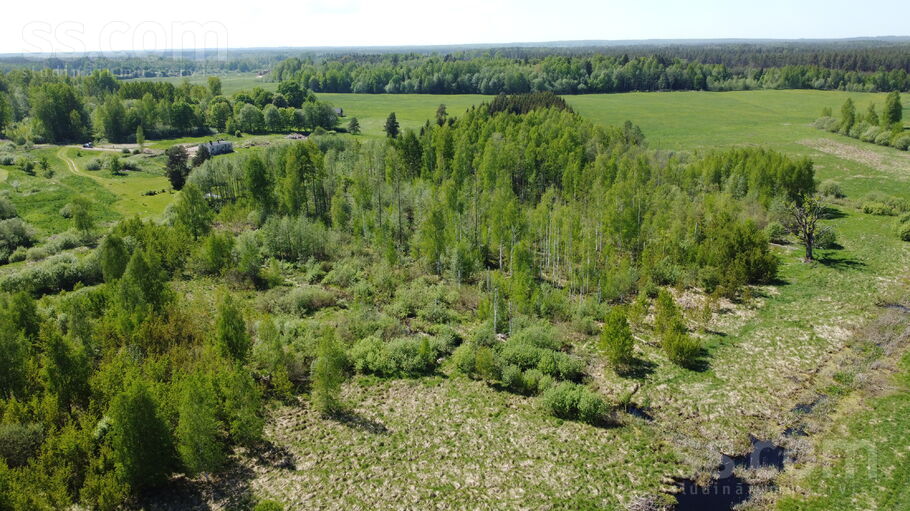 Dižozoliņi, Usma, Ventspils un raj., Usmas pag. — zeme