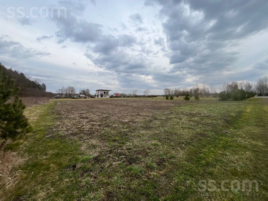 Adriāni, Iecava, Bauska un raj., Iecavas nov. — zeme