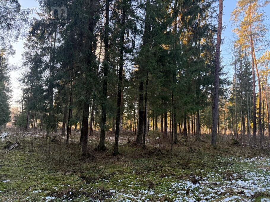 Priežu iela 16, Rīgas rajons, Baldone — maja