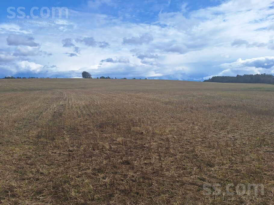 Priežukalni, Alūksne un raj., Ilzenes pag. — zeme