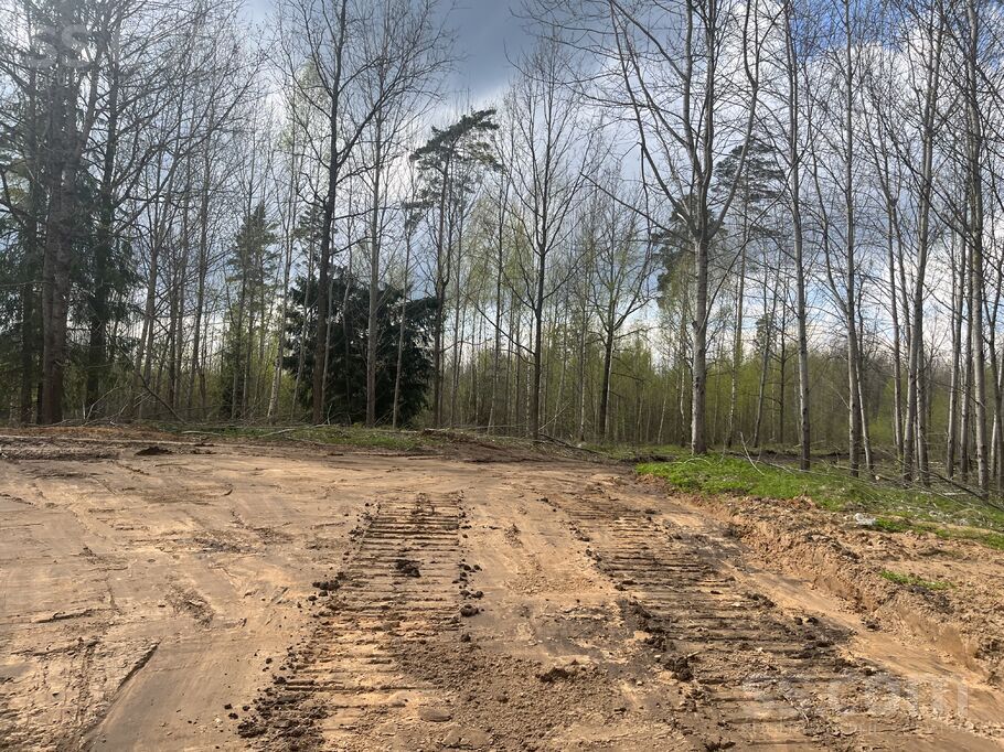 Mežakākauļi 5, Ķekava, Rīgas rajons, Ķekavas pag. — zeme