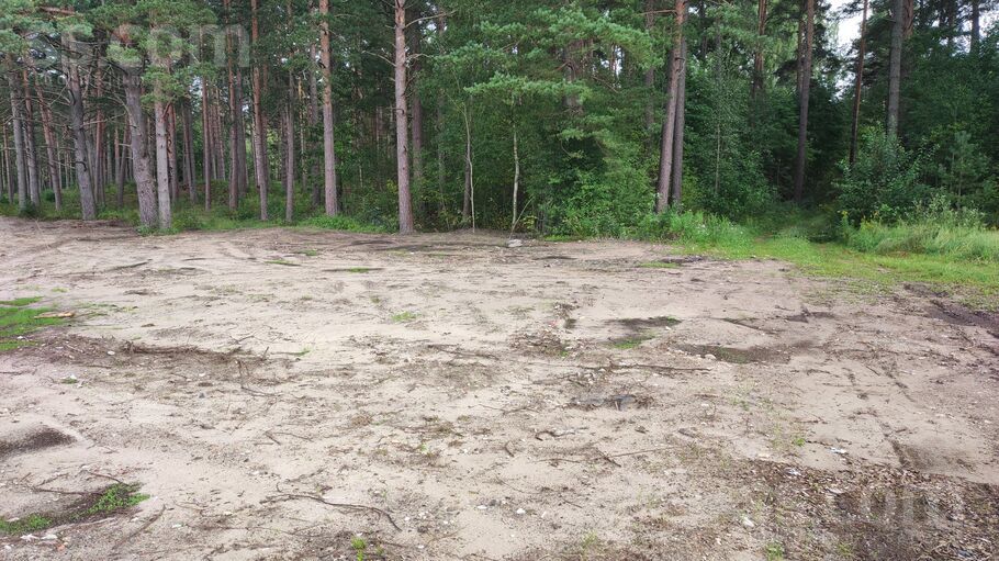 Romas iela 6, Amatnieki, Rīgas rajons, Garkalnes nov. — zeme