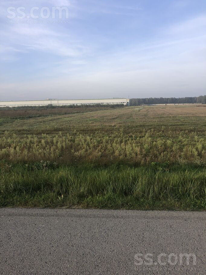 Saulrieti, Grēnes, Rīgas rajons, Olaines pag. — zeme