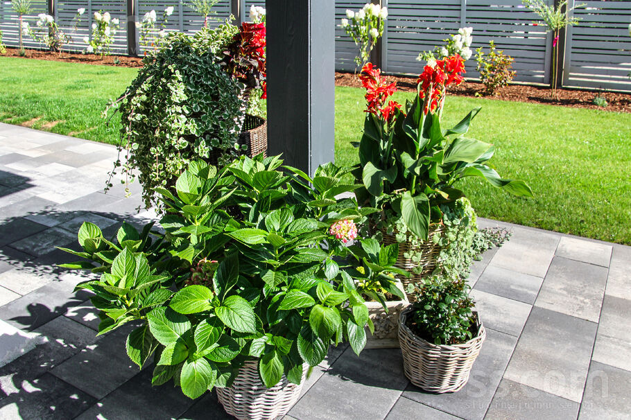 Sebru, Sēbruciems, Rīgas rajons, Babītes pag. — maja