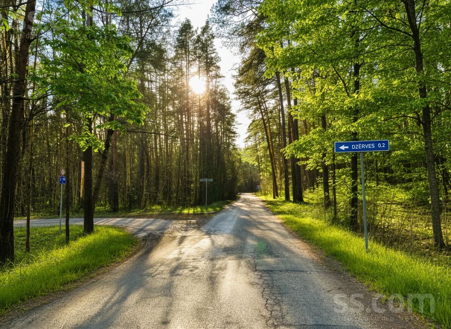 Pavasara, Brīvkalni, Rīgas rajons, Babītes pag. — zeme