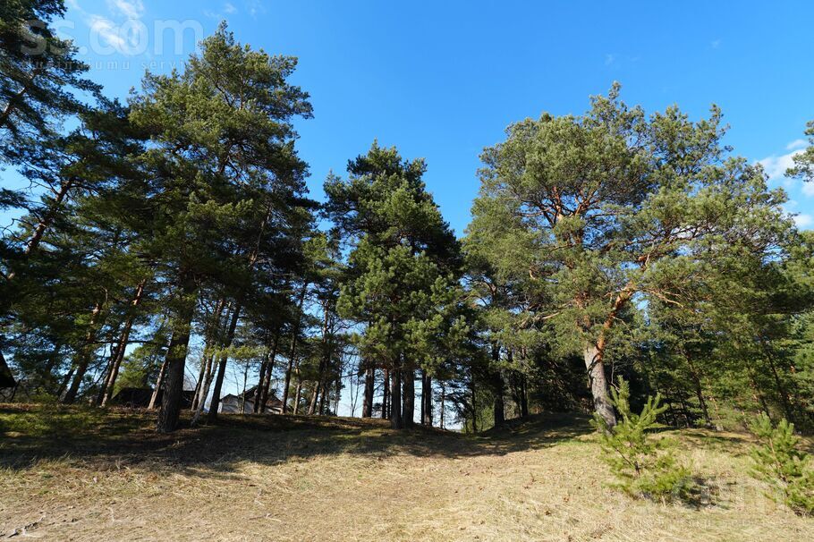 Baložu prospekts 27, Ropaži, Rīgas rajons, Ropažu nov. — zeme