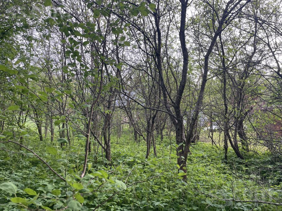 Jaunciema g., Rīga — zeme