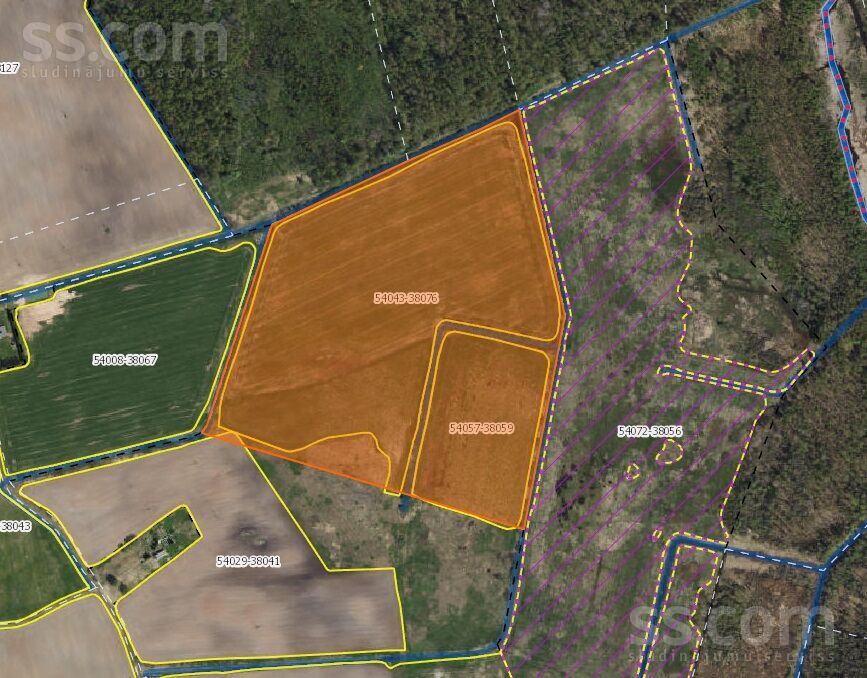 Pienenes, Limbaži un raj., Limbažu pag. — zeme