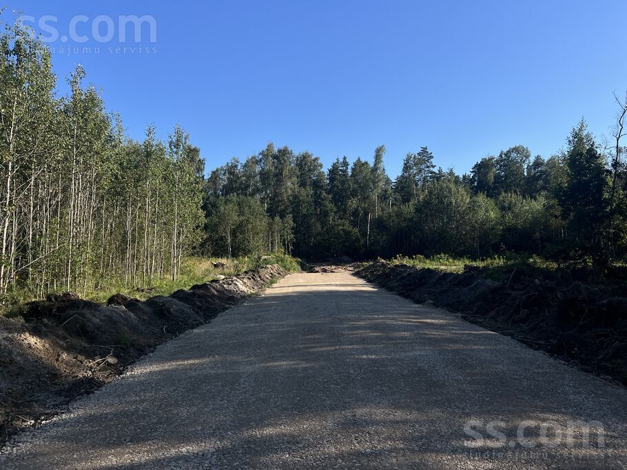 Paegļu iela, Rīgas rajons, Salaspils — zeme