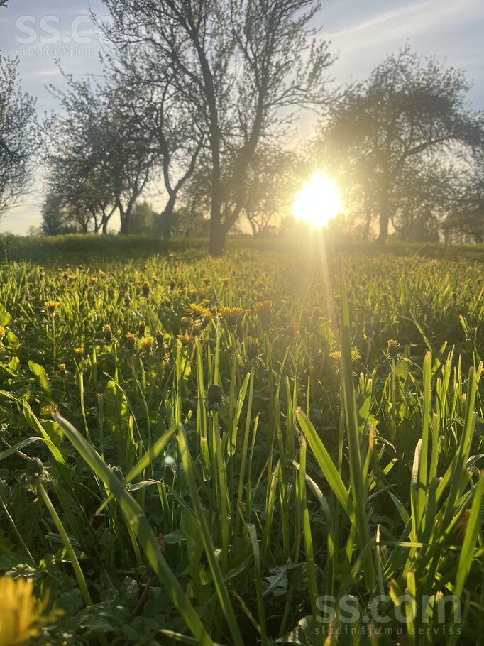 Garanči, Rēzekne un raj., Sakstagala pag. — vienseta
