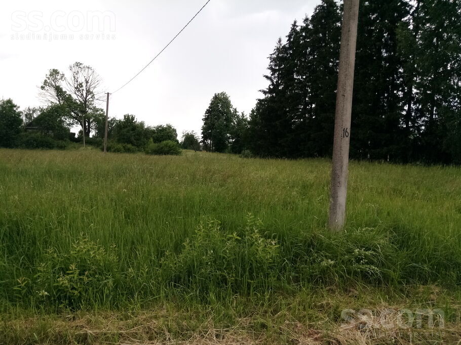 Līvānu 23, Brigi, Ludza un raj., Briģu pag. — zeme