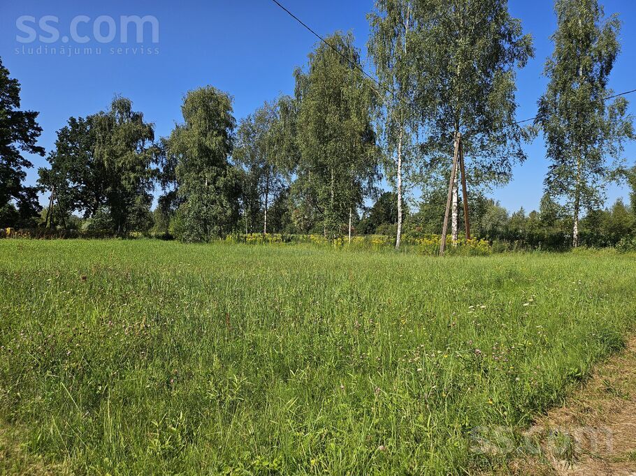 Jaunzelmeņi, Brankas, Jelgava un raj., Cenu pag. — zeme