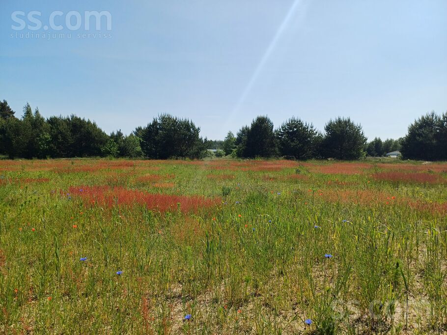 Birzgaļi, Sārnate, Ventspils un raj., Užavas pag. — zeme
